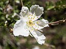 %_tempFileName2014-05-23_0_Rio_Grande_del_Norte_National_Monument-11%