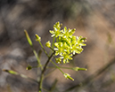 %_tempFileName2014-05-23_0_Rio_Grande_del_Norte_National_Monument-25%