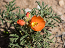%_tempFileName2014-05-23_0_Rio_Grande_del_Norte_National_Monument-26%