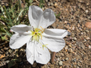 %_tempFileName2014-05-23_0_Rio_Grande_del_Norte_National_Monument-34%