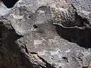 %_tempFileName2014-05-23_0_Rio_Grande_del_Norte_National_Monument-51%