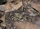%_tempFileName2014-05-23_0_Rio_Grande_del_Norte_National_Monument-52%
