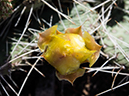 %_tempFileName2014-05-23_0_Rio_Grande_del_Norte_National_Monument-6%