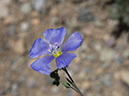 %_tempFileName2014-05-23_0_Rio_Grande_del_Norte_National_Monument-79%