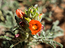 %_tempFileName2014-05-23_0_Rio_Grande_del_Norte_National_Monument-8%