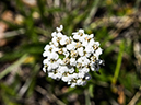 %_tempFileName2014-05-31_01_Ken_Patrick_Uncle_Jim_Trail_Grand_Canyon-19%