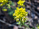 %_tempFileName2014-05-31_01_Ken_Patrick_Uncle_Jim_Trail_Grand_Canyon-4%