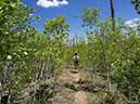 %_tempFileName2014-05-31_01_Ken_Patrick_Uncle_Jim_Trail_Grand_Canyon-50%