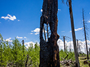 %_tempFileName2014-05-31_01_Ken_Patrick_Uncle_Jim_Trail_Grand_Canyon-51%