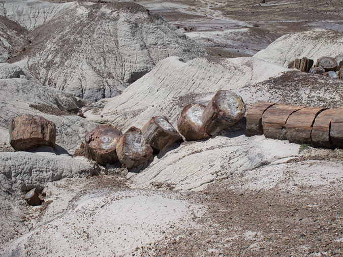 %_tempFileName2013-04-22_Petrified_Forest-14%