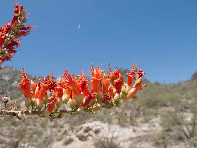 %_tempFileName2013-04-23_Squaw_Peak-1%