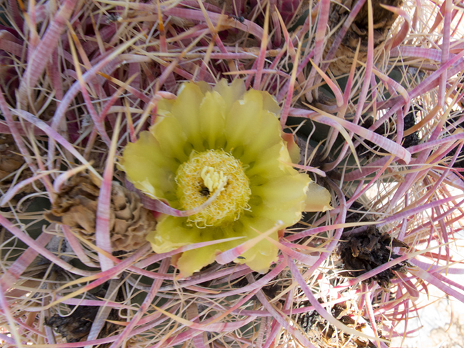 %_tempFileName2013-04-23_Squaw_Peak-5%