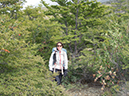 %_tempFileName2014-03-20_01_Torres_del_Paines_Refugio_Las_Torres_to_Refugio_Las_Cuenos-13%