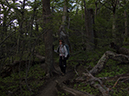 %_tempFileName2014-03-21_01_Torres_del_Paines_Valle_del_Frances_Hike-35%