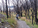 %_tempFileName2014-03-23_01_Torres_del_Paines_Refugio_Paine_Grande_to_Refugio_Grey-25%