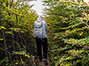 %_tempFileName2014-03-28_01_El_Chalten_Lago_del_los_Tres-11%