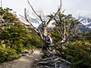 %_tempFileName2014-03-28_01_El_Chalten_Lago_del_los_Tres-7%