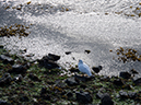 %_tempFileName2014-04-01_01_Ushuaia_Tres_Marias_Boat_Trip-55%