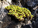 %_tempFileName2014-04-01_01_Ushuaia_Tres_Marias_Boat_Trip-58%