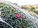 %_tempFileName2014-04-01_01_Ushuaia_Tres_Marias_Boat_Trip-70%