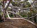%_tempFileName2014-04-02_02_Ushuaia_Tierra_del_Fuego_National_Park%20-23%