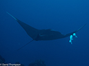 %_tempFileName2012-12-10_1_Socorro_Punta_Tosca-21%