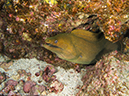 %_tempFileName2012-12-10_3_Socorro_Punta_Tosca-24%