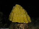 %_tempFileName2012-12-10_4_Socorro_Punta_Tosca-39%