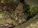 %_tempFileName2012-12-10_4_Socorro_Punta_Tosca-45%