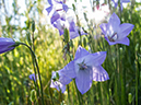%_tempFileName2013-07-11_2_Harney_Peak_Hike-3%