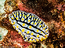 %_tempFileName2013-03-15_3_Koh_Haa_Lagoon-54%