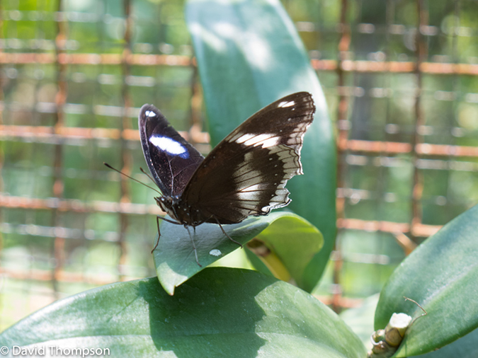 %_tempFileName2013_03_09_Phuket_Thailand-103%