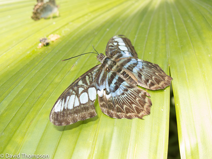 %_tempFileName2013_03_09_Phuket_Thailand-58%