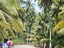 %_tempFileName2013_03_19_Floating_Market_Bike_Ride_Thailand-105%