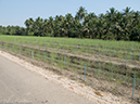 %_tempFileName2013_03_19_Floating_Market_Bike_Ride_Thailand-121%