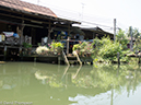 %_tempFileName2013_03_19_Floating_Market_Bike_Ride_Thailand-55%