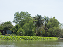 %_tempFileName2013_03_19_Floating_Market_Bike_Ride_Thailand-61%