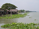 %_tempFileName2013_03_21_Ayutthaya_Bike_Ride_Thailand-157%