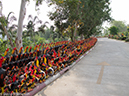 %_tempFileName2013_03_21_Ayutthaya_Bike_Ride_Thailand-29%