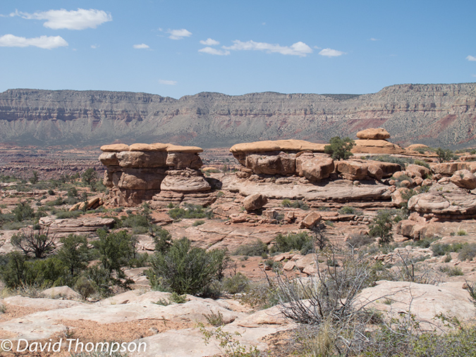 %_tempFileName2013-04-26_Thunder_River_Trail-45%