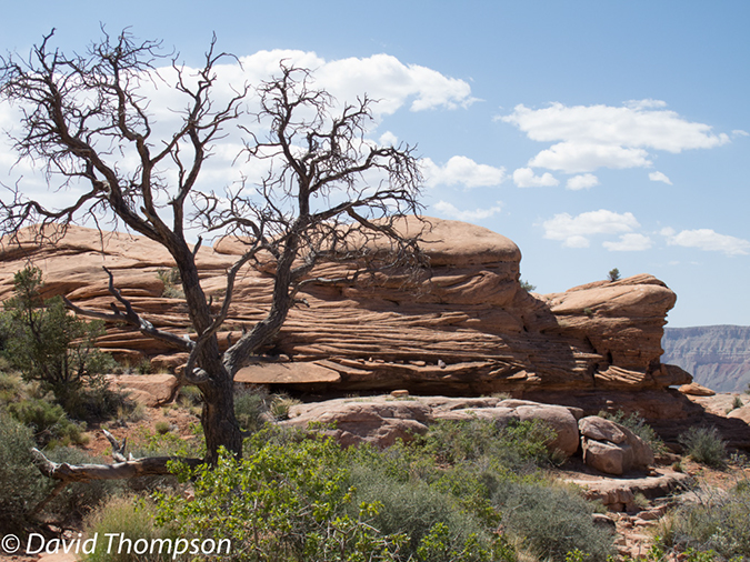 %_tempFileName2013-04-26_Thunder_River_Trail-46%