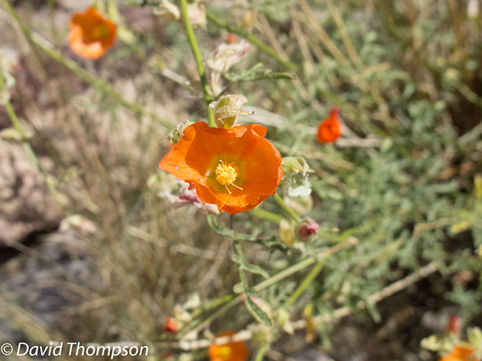 %_tempFileName2013-04-27_Thunder_River_Trail-16%