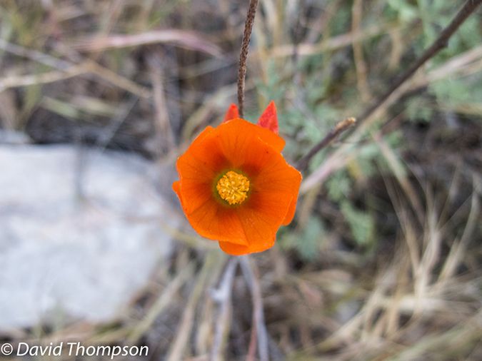 %_tempFileName2013-04-27_Thunder_River_Trail-45%