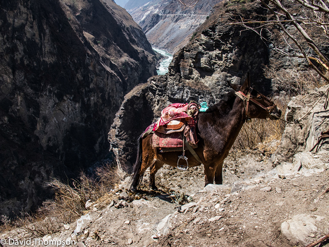 %_tempFileName2013-03-28_Tiger_Leaping_Gorge-51%