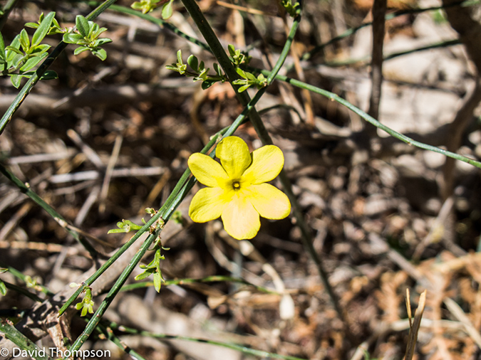 %_tempFileName2013-03-28_Tiger_Leaping_Gorge-56%