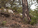 %_tempFileName2013-03-27_Tiger_Leaping_Gorge-49%