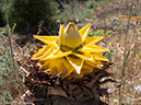 %_tempFileName2013-03-28_Tiger_Leaping_Gorge-29%