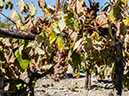 %_tempFileName2013-09-27_1_Cappadocia_Gulludere%20_Red_Valley-1%