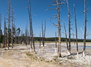 %_tempFileName2013-08-05_3_Fountain_Paint_Pots_Yellowstone_NP-17%