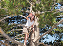 %_tempFileName2013-08-05_4_Geyser_Basin_Yellowstone_NP-3%